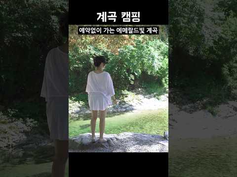 예약없이 가는 에메랄드 빛 강원도 계곡 캠핑장 💚