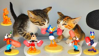 Funny Cats Eating ASMR with Mickey Mouse and Friends 😸