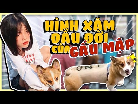 LẦN ĐẦU GẤU MẬP ĐI XĂM HÌNH