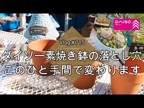 【Vlog715】【多肉植物】ダイソー素焼き鉢の落とし穴🪴このひと手間で変わります【DAISO】【ダイソー鉢シリーズ①】