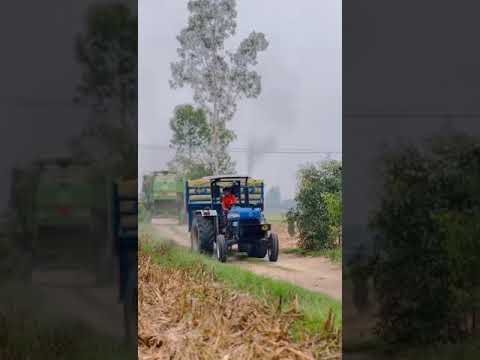 New Holland 3630 💪✅||#farmer #panjab #pindawale #newholland