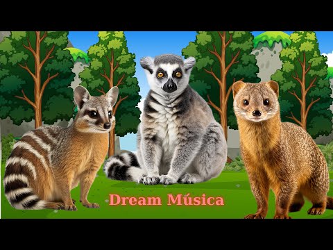 Wild Animal Sounds: Meerkat, Lemur, Monkey, Dog, Flamingo - Animal Sounds