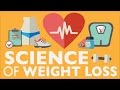 Muscle Growth and Metabolism Concepts