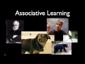 Animal Learning and Behavior Concepts