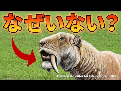 剣歯のある肉食動物が現代にいない理由【解説動画】