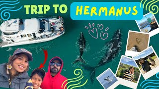 ആഫ്രിക്കയിലെ തിമിംഗലങ്ങളെ കാണാൻ പോയാലോ  Trip to African Town of whales "HERMANUS".