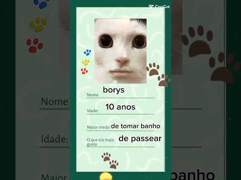 a identidade do meu gatinho 😍