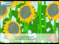 Seed Dispersal Methods