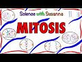Mitosis and Chromosome Structure