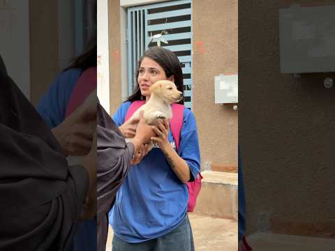Jadui dog ๐ถpart 1๐คฃ #comedy #magic #funny #shorts #viralvideo #foryou #youtubeshorts