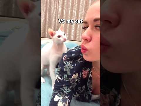 Other cat VS my cat #foryou #funny #funypets #cat