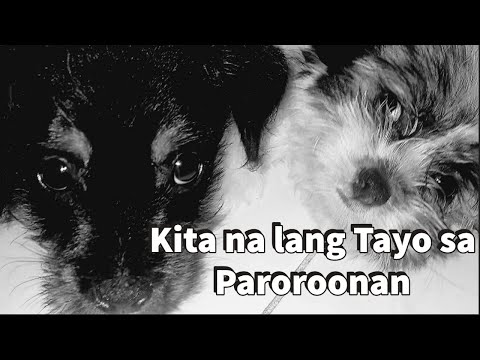 LATE - Kita Tayo sa Paroroonan ( Official Lyric Video )