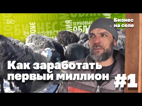 Как фермер из Мамадышского района заработал свой первый миллион? | Бизнес на селе #1