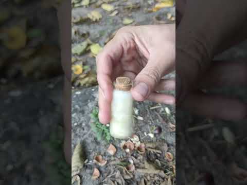 Camping Tips 💯 #camper #camping #outdoors #survivalskills#shorts #keşfet