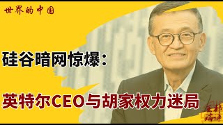 硅谷暗网惊爆：英特尔CEO与胡家权力迷局 |《#世界的中国》20250812