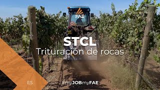 Video - FAE STCL - La trituradora de piedras FAE para tractor en un viñedo de Apulia (IT)