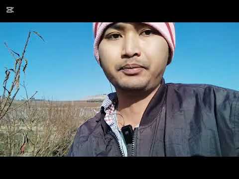 ข่าวดีพี่น้องไทยที่อยากมาทำงานที่ประเทศอิสราเอลโอกาสมาถึงแล้