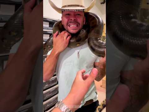 Serpent Incontrôlablement Puissant ⚠️😨