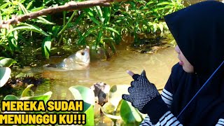 TERNYATA KEDATANGAN KAMI SUDAH DI TUNGGU PARA IKANN !!!