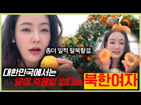 대한민국에 또 한번 감동받은 탈북여성! "눈감고 다녀도 굶어 죽진 않겠네?"