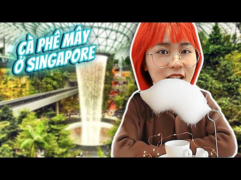 Misthy phát mê vì sân bay đẹp nhất thế giới. Càn quét các món ăn đường phố Singapore! WHAT THE FOOD