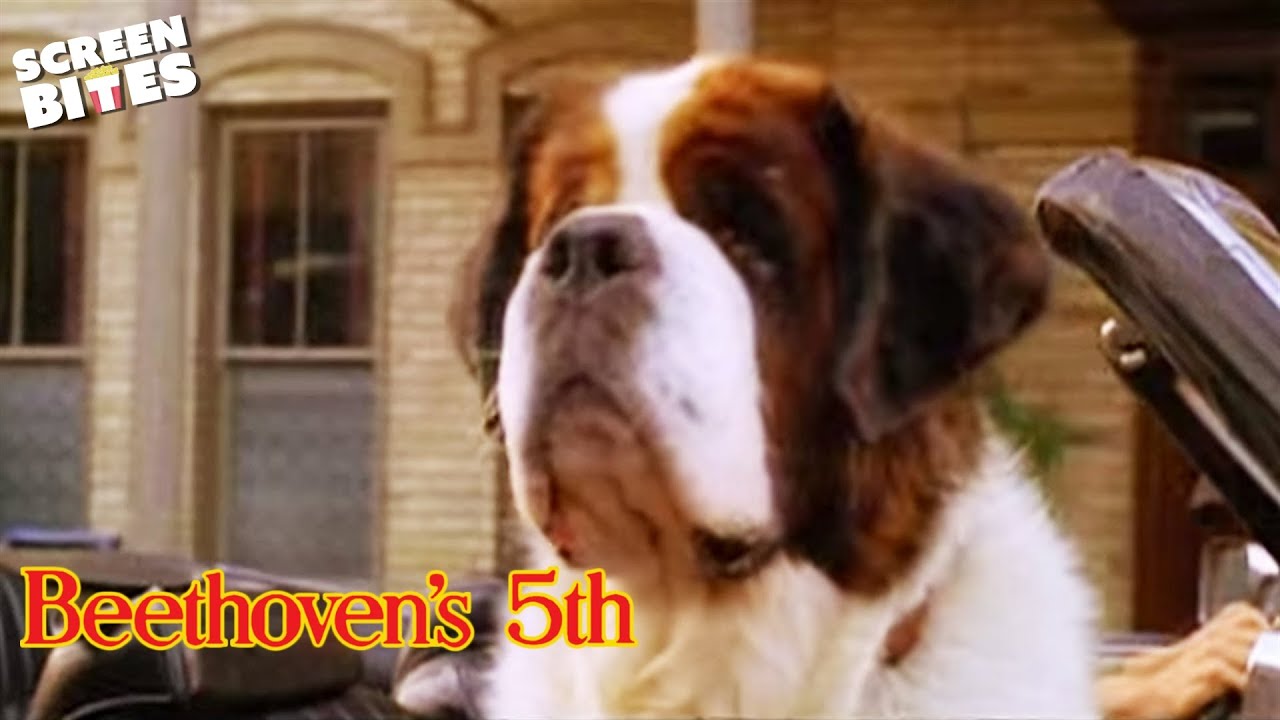 Beethoven's 5th Trailer thumbnail