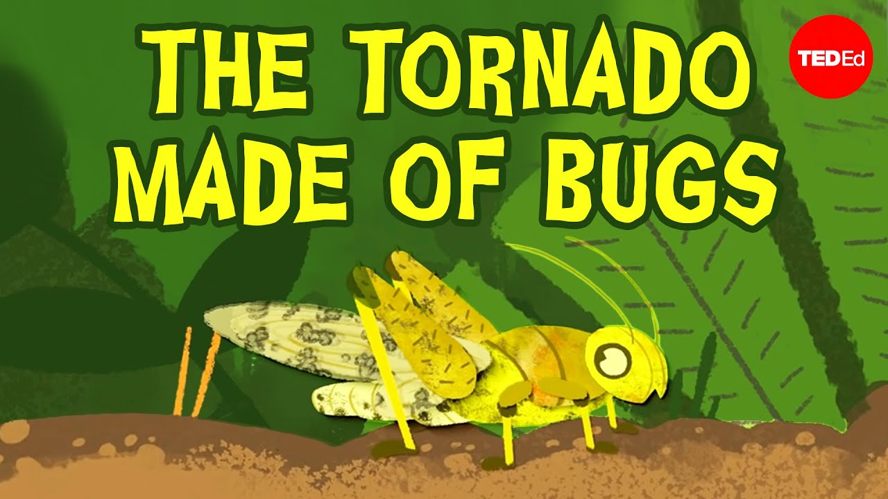 Are locust plagues unstoppable? - Jeffrey A. Lockwood