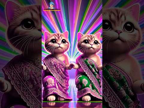 CUTE CAT DANCE IN THE MUSIC || ❤️🤣💃🥁 PART - 317 🤩 #CUTE #CAT #CATDANCE #SHORTS #SHORTSFEED