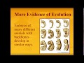 Evolutionary Evidence and Concepts