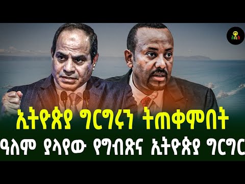 ኢትዮጵያ ግርግሩን ትጠቀምበት ዓለም ያላየው የግብጽና ኢትዮጵያ ግርግር