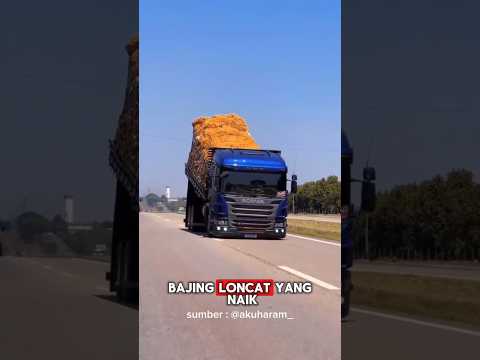 MODIFIKASI NYELENEH TRUK BRAZIL #shorts #trukmania #scania #busmania #brazil