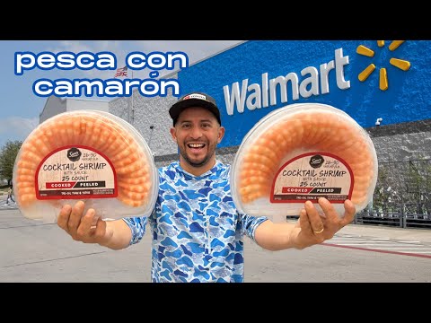 Pesca Con Camarones De Walmart | Agua Salada