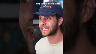 Why is this horse kinda 🥵…..