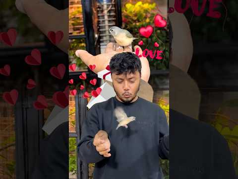 āĻā§āύ āĻĒā§āϰāĻžāĻŖā§āĻĻā§āϰ āĻāĻžāϞā§āĻŦāĻžāϏāĻž āĻŽāĻžāύā§āώā§āϰ āĻā§āϝāĻŧā§ āĻŦā§āĻļāĻŋ āĻāĻžāĻāĻāĻŋ? #birds #love #pets