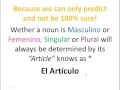 Definite and Indefinite Articles in Spanish