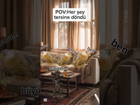 Pov:Her şey tersine döndü...