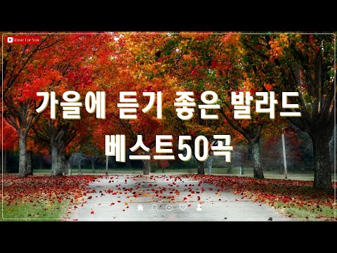 가을 감성을 채워주는 최고의 노래 모음 - 김필/양파/이승기/멜로망스/린 하루 종일 듣기 좋은 명곡