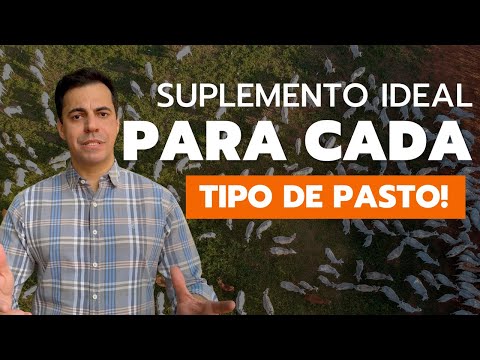 QUAL SUPLEMENTO OFERECER PARA O GADO DE ACORDO COM O PASTO?