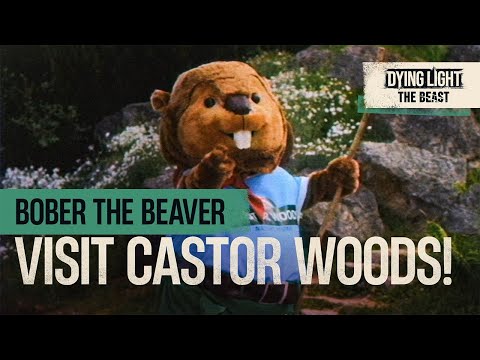 Bober the Beaver: Visit Castor Woods!