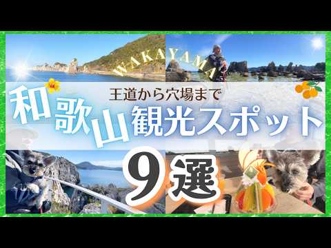 【犬連れ｜和歌山觀光】行ってよかったおすすめ【9選】｜高野山〜南紀白濱〜那智を巡る絶景✨グルメ旅
