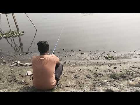 Amazing fish catching video in river | 2025 winter morning catching fish in hook