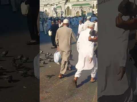 Mashallah 🌹 🕋 🤲