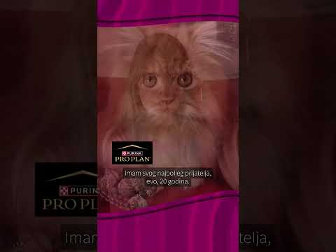 Nevjerovatna priča o prijateljstvu koje traje gotovo 20 godina | Pravo vrijeme | Hayat TV