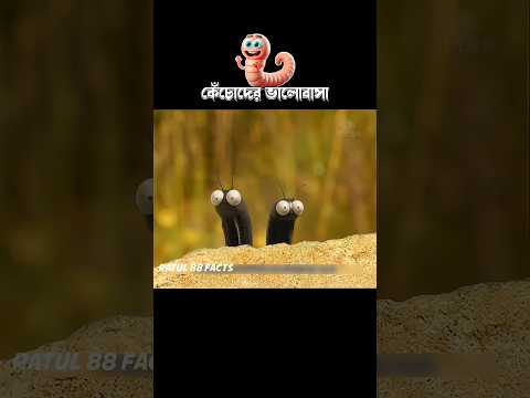 কেঁচোদের ভালোবাসা #3danimatio #cartoon