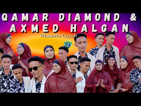 Dhaanto Cusub l Hibasho l Qamar Diamond & Axmed Halgan l Muqaalo Hore 2025