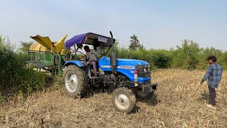 Sonalika di-42 Rx Tractor And Surjeet Thresher 7 Fan 775 RPM in a Short Time Tha Rice Cutting ||