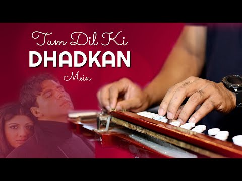 Tum Dil Ki Dhadkan Mein Banjo cover | तुम दिल की धड़कन में | DHADKAN | Instrumental by Music Retouch