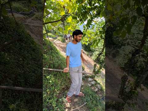 Aaj nhi Chhodenge #minivlog #vlog #shorts