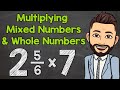 Multiplying Mixed Numbers and Whole Numbers Explained