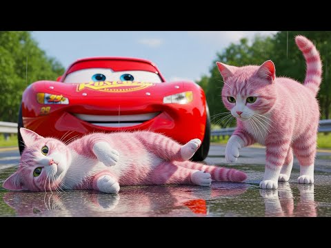 Mama Cat Trims Fur on the Farm and Makes Tiger Hat For Kittens At Home🐾🎩🐯